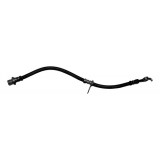 Flexivel Freio Diant Esq Byd Dolphin Mini 2024 20240107 J625