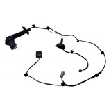 Chicote Porta Traseira Direita Byd Dolphin Mini 24 J899 Deta