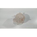 Reservatório Agua Motor Gm Onix 1.0 Turbo 2022 D1230