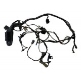 Chicote Porta Diant Esq Bmw X6 6cc 2014 G1894