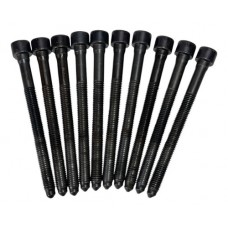 10 Parafusos Do Cabeçote Jetta 2.5 5cc - 382