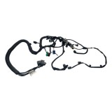 Chicote Motor Citroen C4 Picasso 2.0 2011 Aut F3562